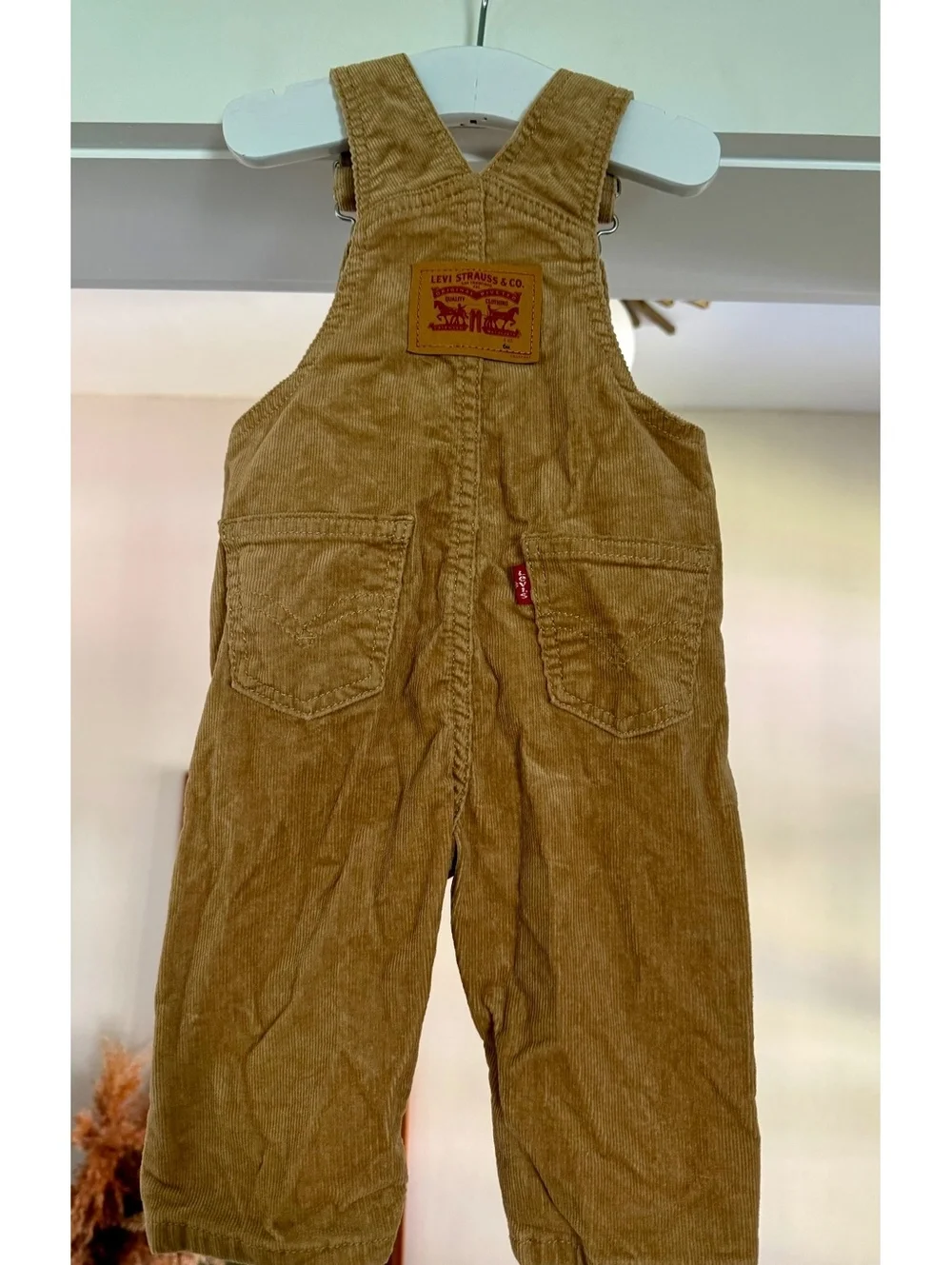 Levis adorable tan